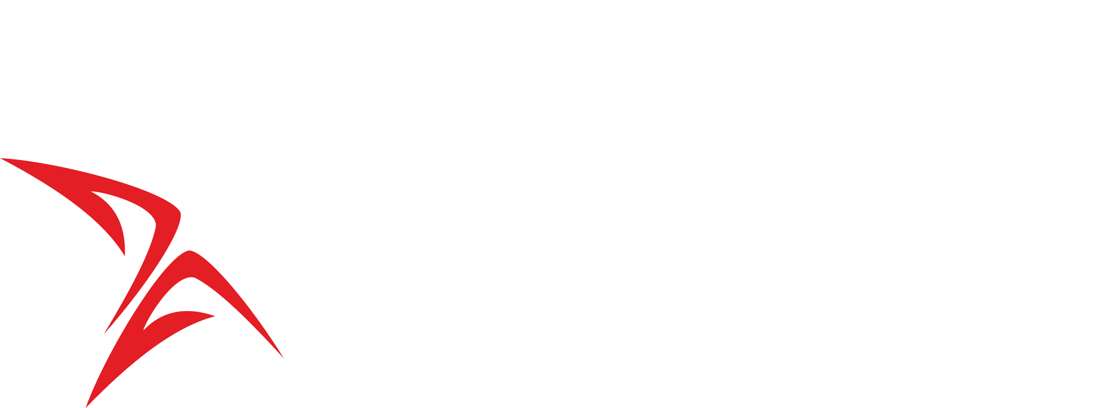 Anadolu Ekspo Fuarcılık